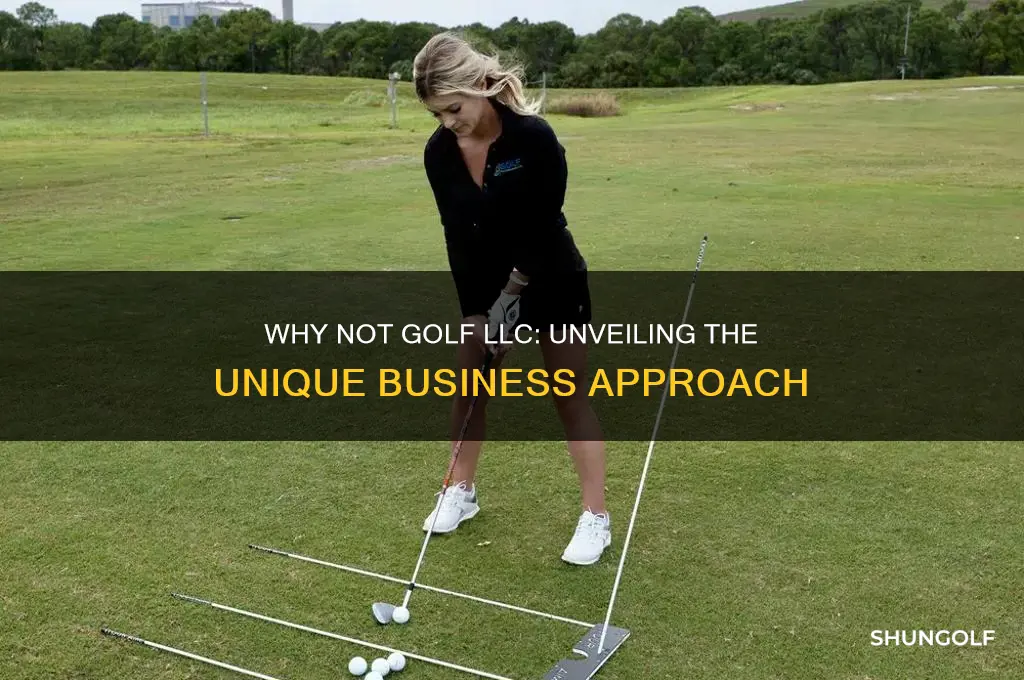 why not golf llc