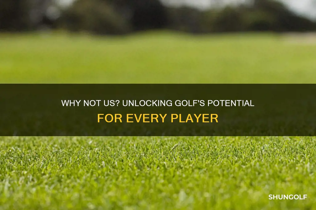 why not us golf