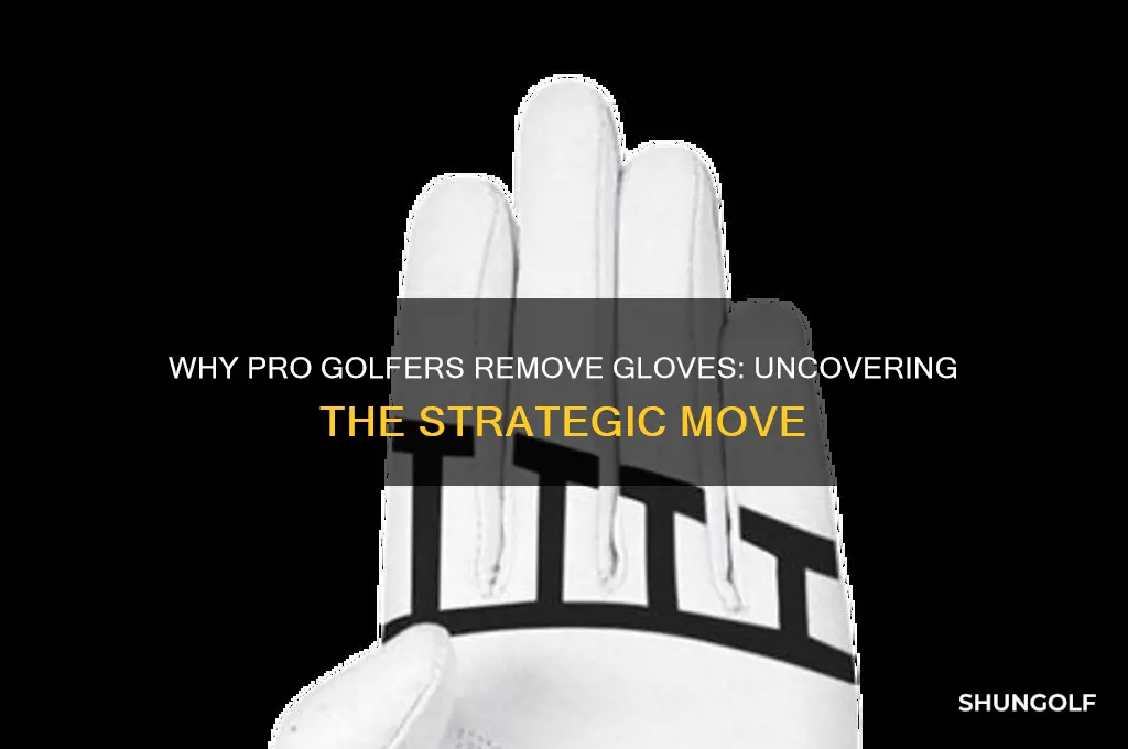 why pro golfer takes gloves off