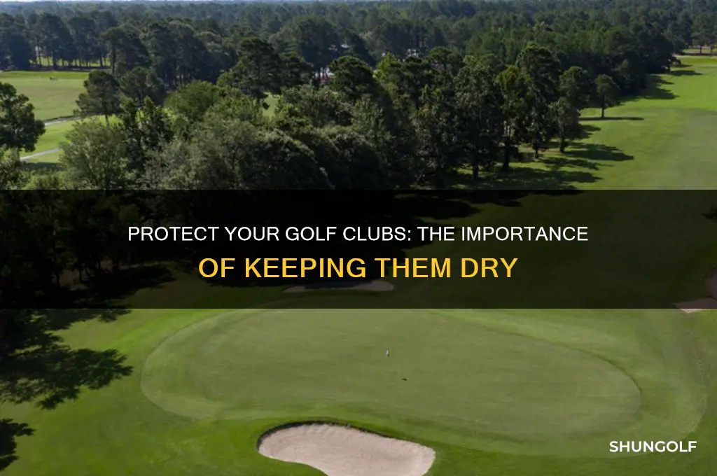 why should you keep your golf clubs dry