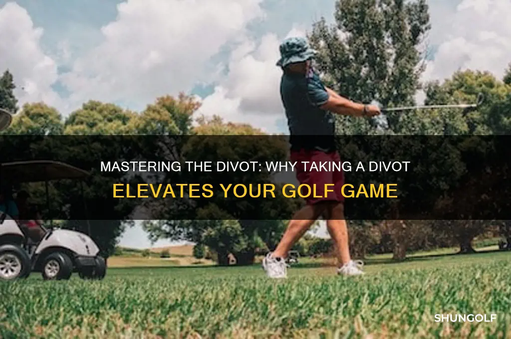 why take a divot golf