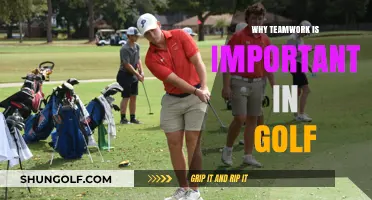 The Power of Teamwork: Elevating Golf Performance Together