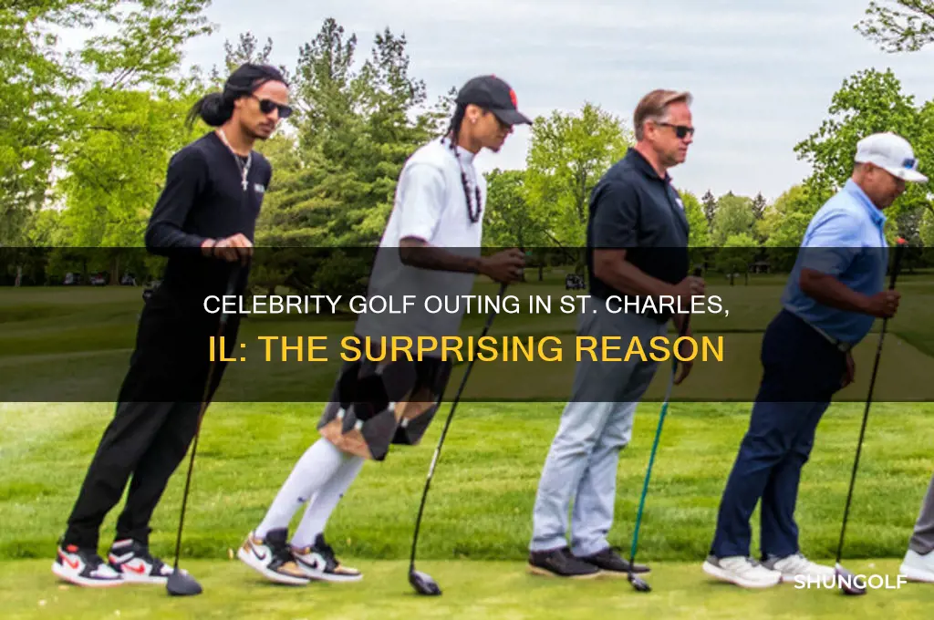 why was celebrity golf outing heald in st charles il