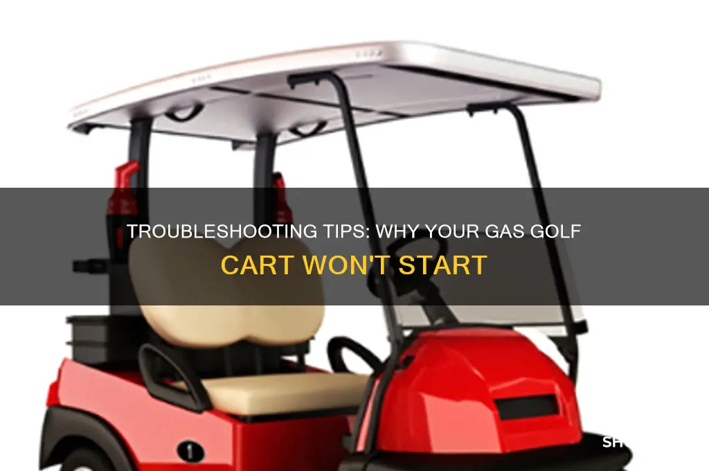 why will my gas golf not start