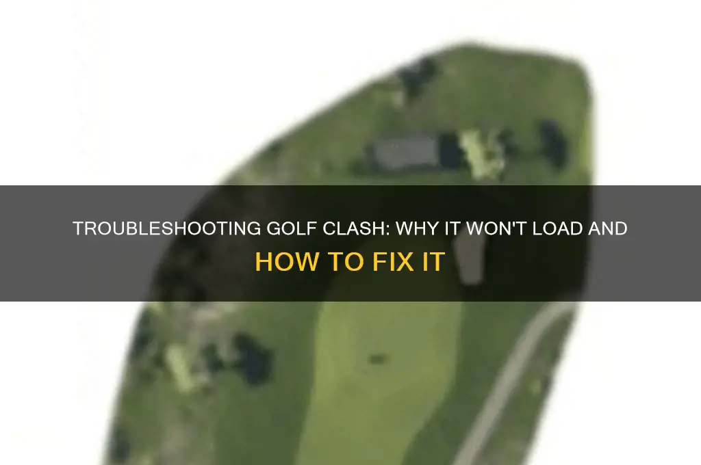 why won