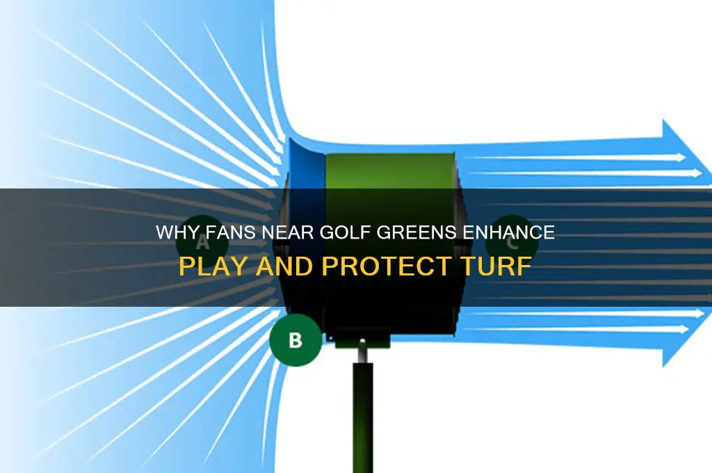 why would a fan be running near a golf green