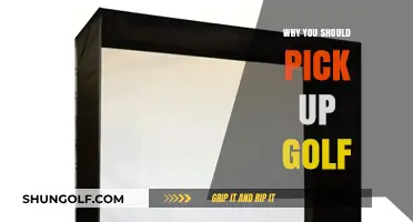 Discover the Joy and Benefits of Playing Golf Today