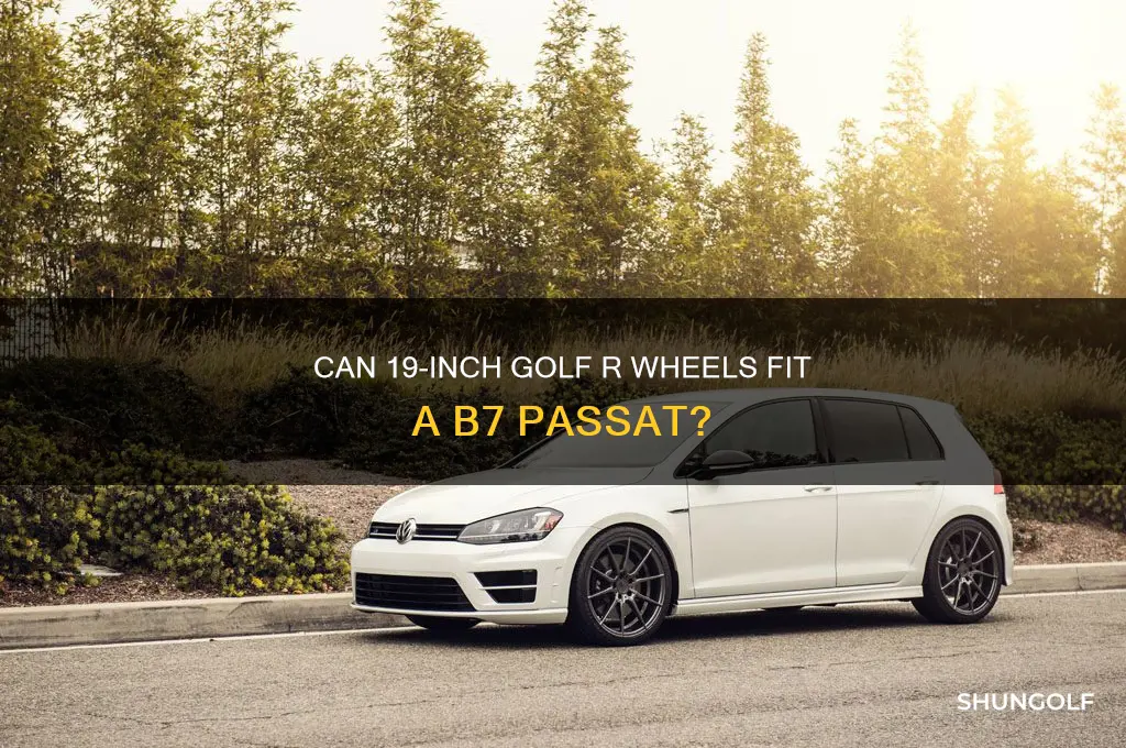 will 19 inch golf r wheels fit b7 passat