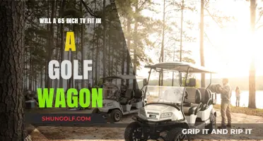 Can a 65-Inch TV Fit in Your Golf Wagon? Find Out!