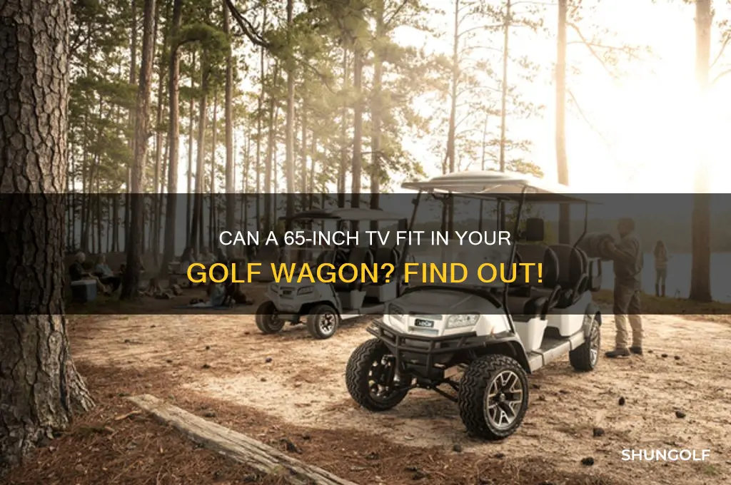will a 65 inch tv fit in a golf wagon