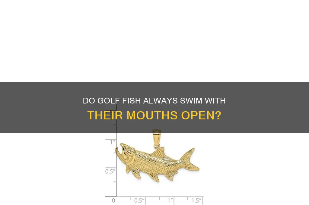 will a golf fishes mouth always open