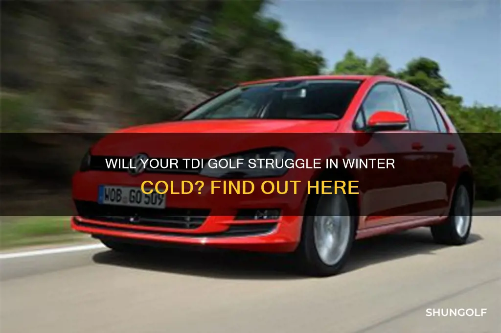 will a tdi golf jell up in the winter