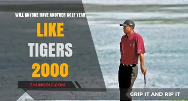 Can Any Golfer Match Tiger Woods' Dominant 2000 Season?