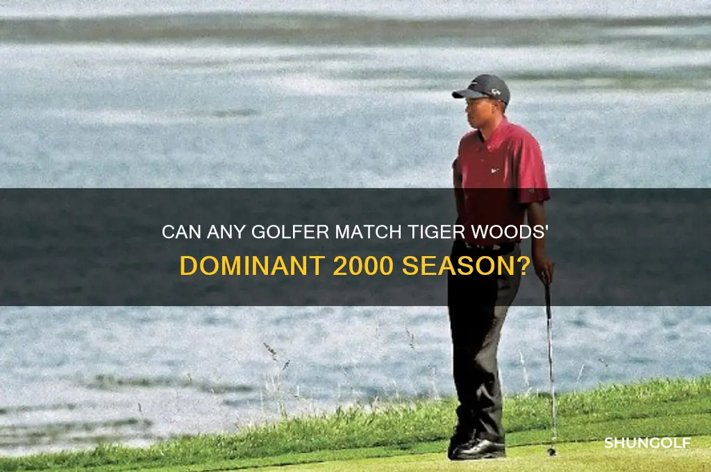 will anyone have another golf year like tigers 2000