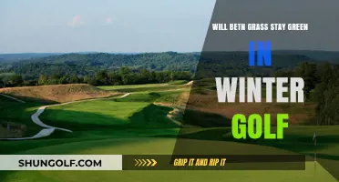 Will Bentgrass Stay Green in Winter Golf? Expert Insights Revealed