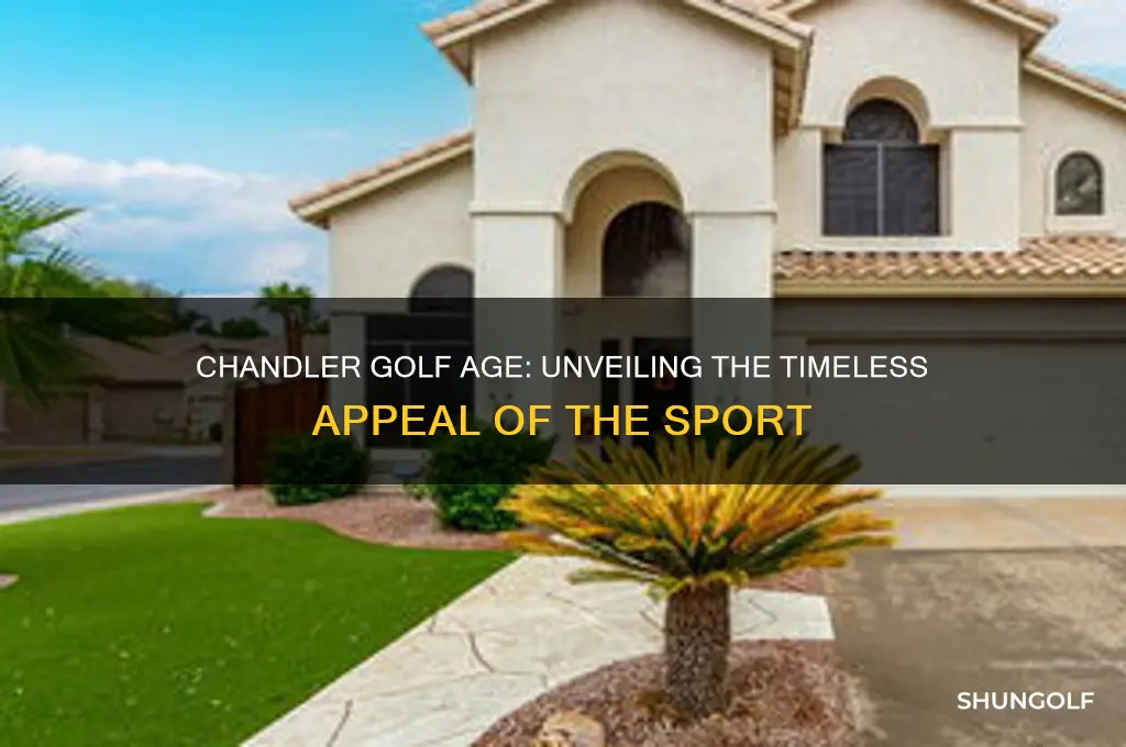 will chandler golf age