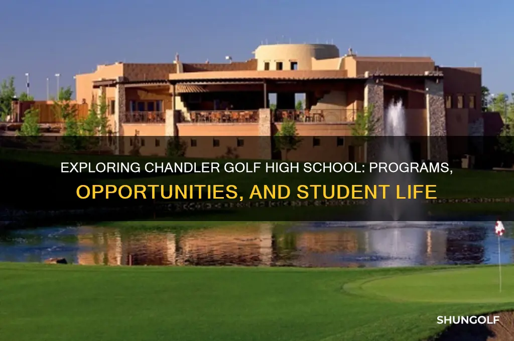 will chandler golf high school