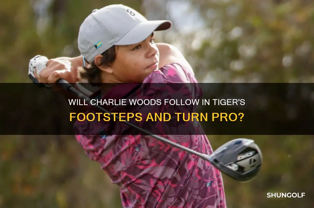will charlie woods be a pro golfer