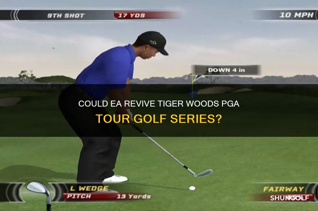 will ea bring back tiger woods golf