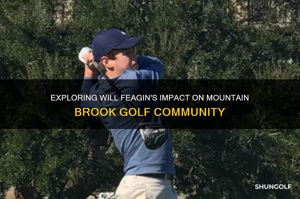 will feagin mountain brook golf