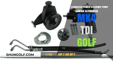Fluidless Power Steering Pump: Potential Alternator Damage in MK4 TDI Golf?