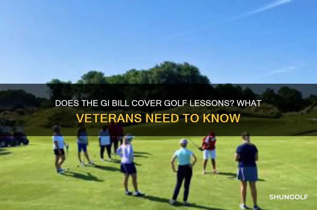 will gi bill cover golf lessons