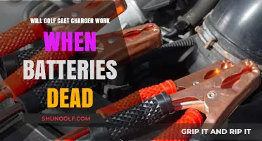 Can a Golf Cart Charger Revive a Completely Dead Battery?