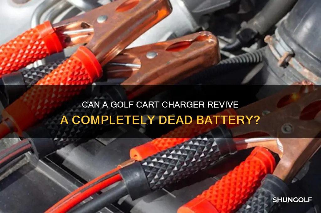 will golf caet charger work when batteries dead