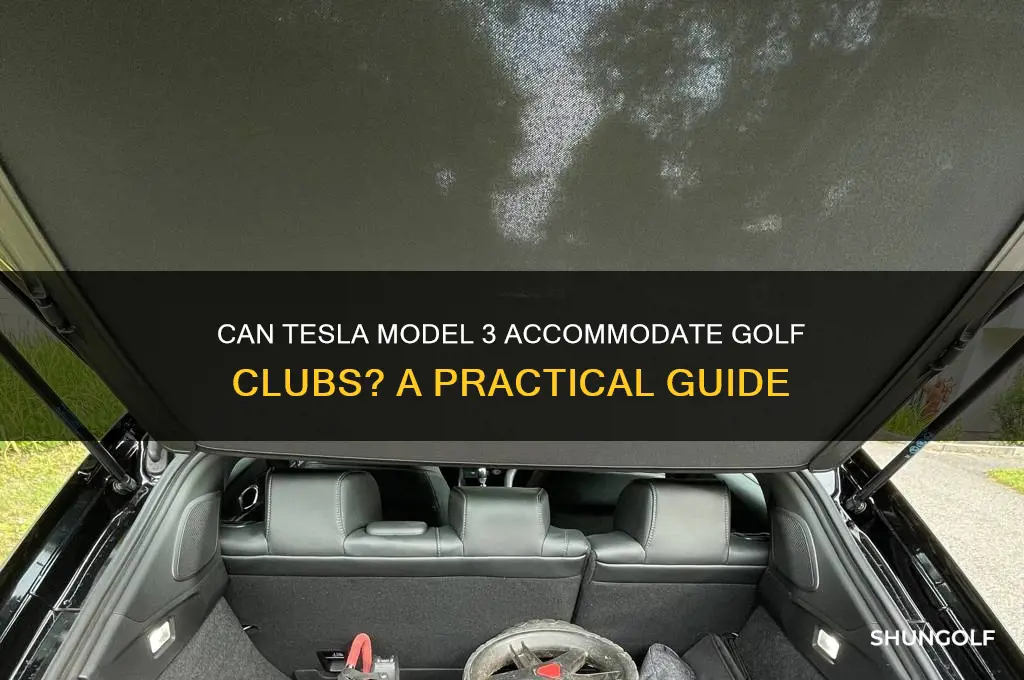 will golf clubs fit in a model 3