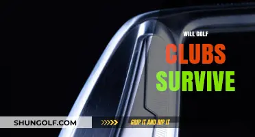 Will Golf Clubs Survive the Modern Era? Challenges and Opportunities