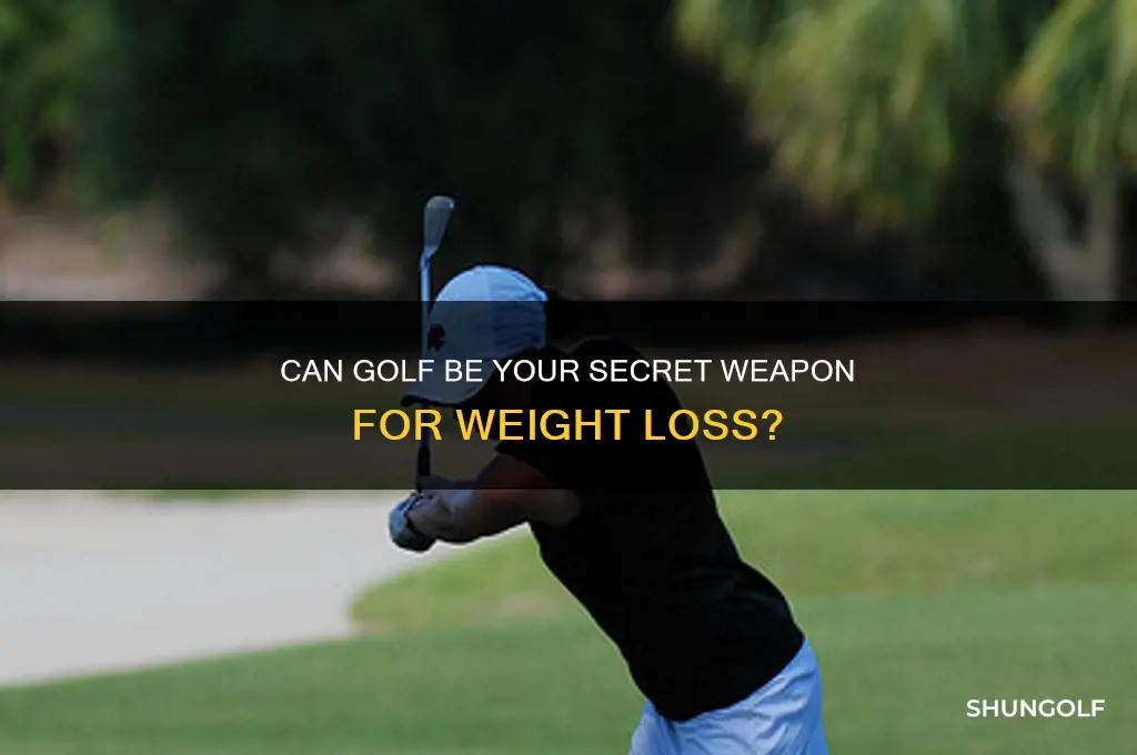 will golf help me lose weight