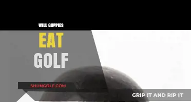 Do Guppies Eat Golf Balls? Unraveling the Myth and Facts