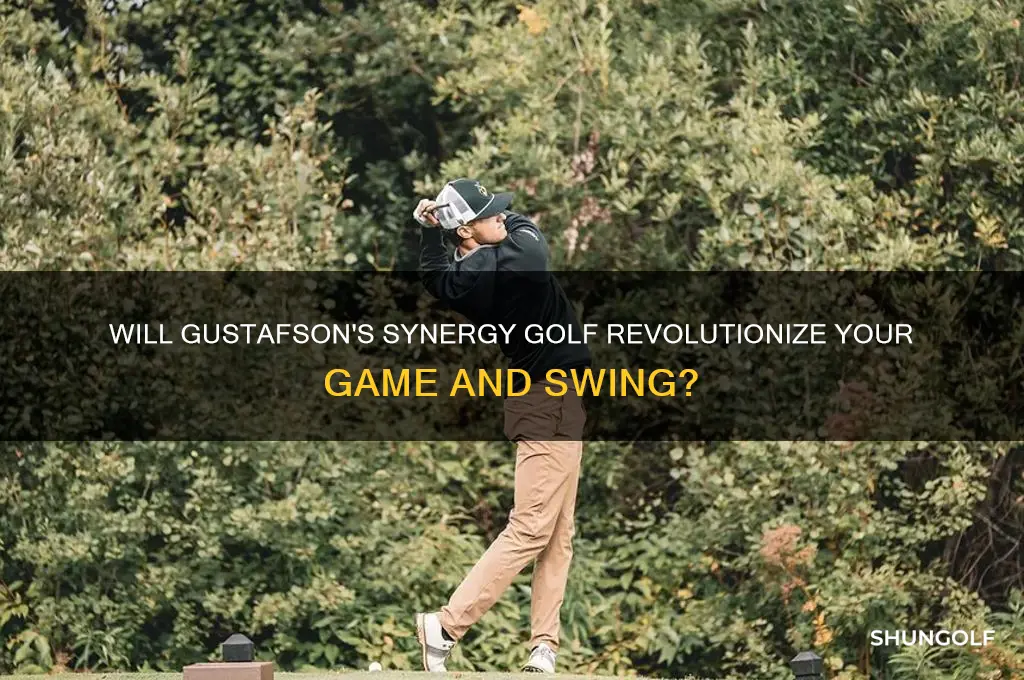 will gustafson synergy golf