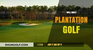 Exploring Haile Plantation Golf: A Premier Gainesville Course Experience