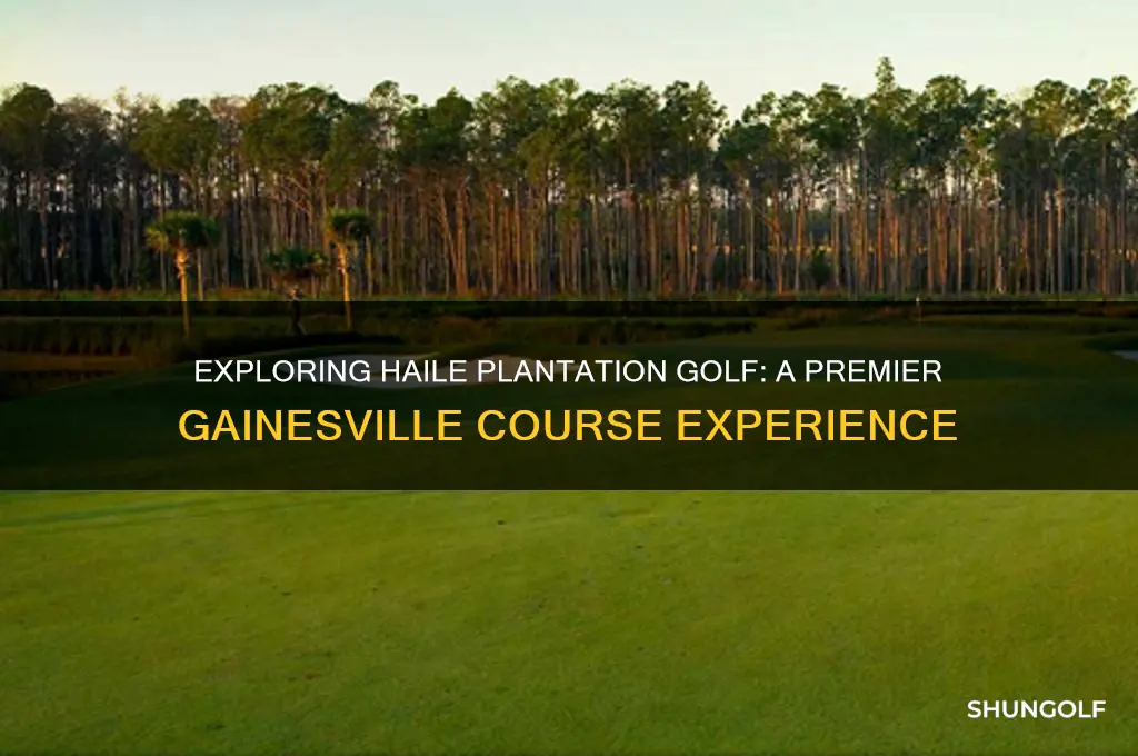 will haile plantation golf