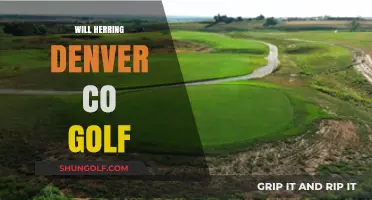 Will Herring's Denver CO Golf Scene: A Local's Perspective