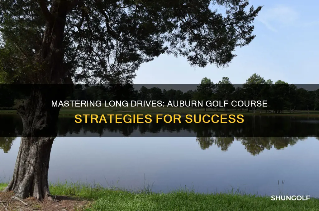 will long auburn golf