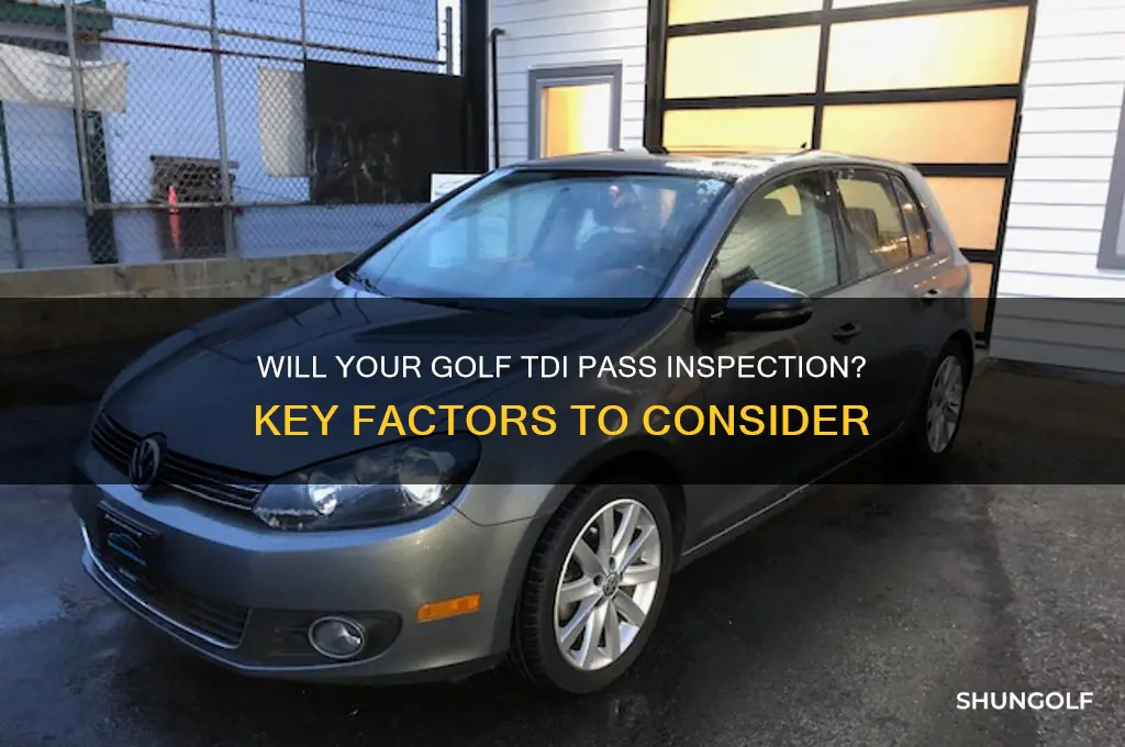 will my golf tdi pass inspection