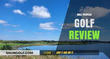 Will People's Golf Swing into Success? A Comprehensive Review