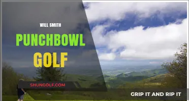 Will Smith's Punchbowl Golf Incident: What Really Happened?
