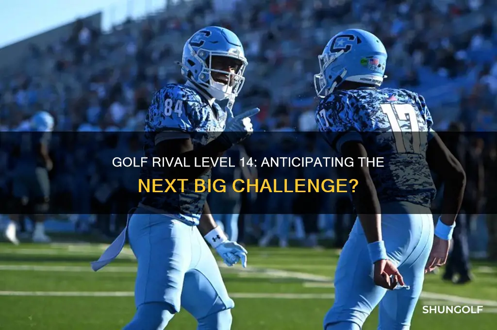 will the be a golf rival level 14
