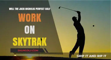 Can Jack Nicklaus' Perfect Golf Swing Optimize SkyTrak Performance?