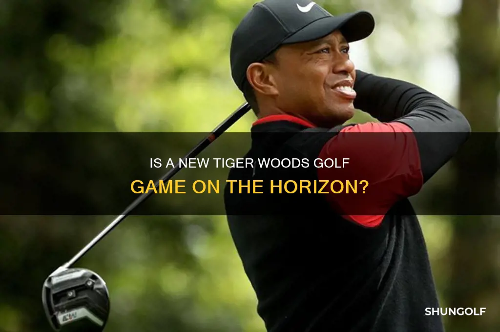 will there be a new tiger woods golf game