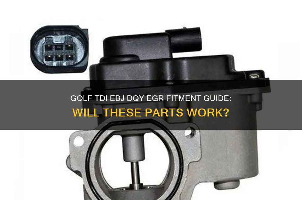 will these fit my golf tdi ebj dqy egr