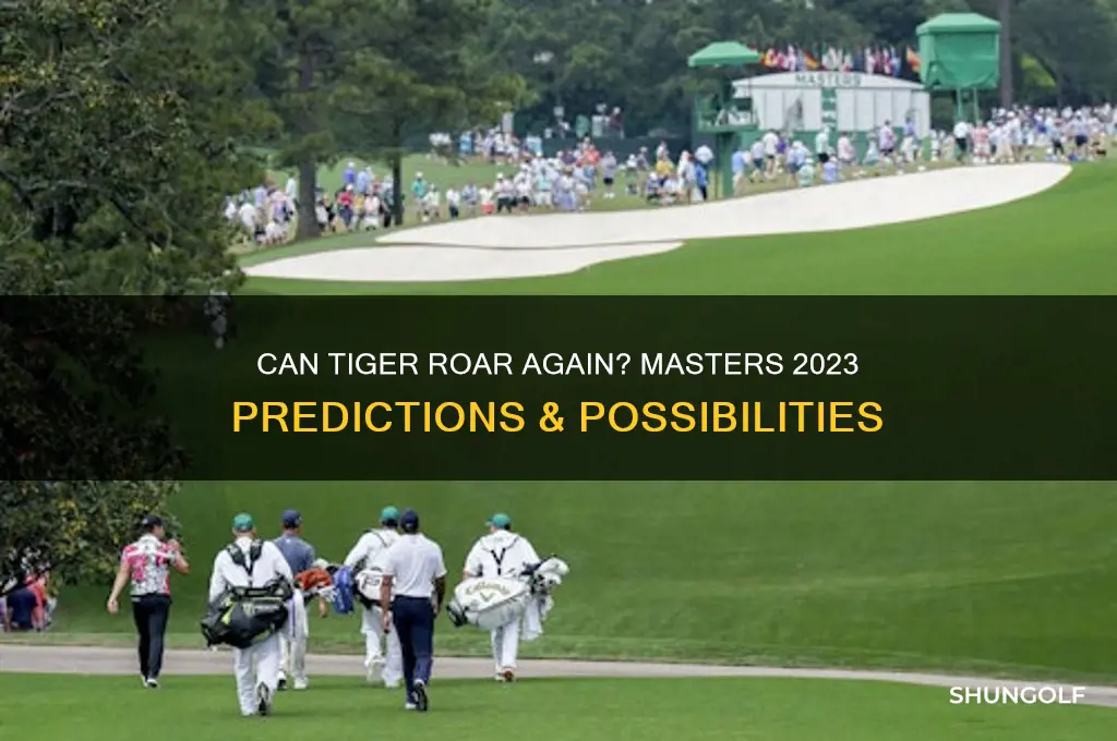 will tiger win the masters