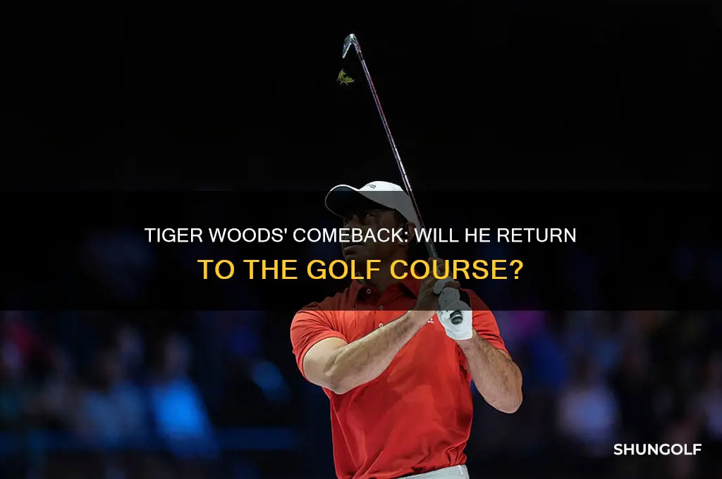 will tiger woods ever golf again