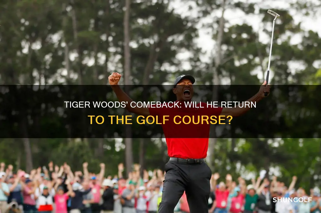will tiger woods play golf again