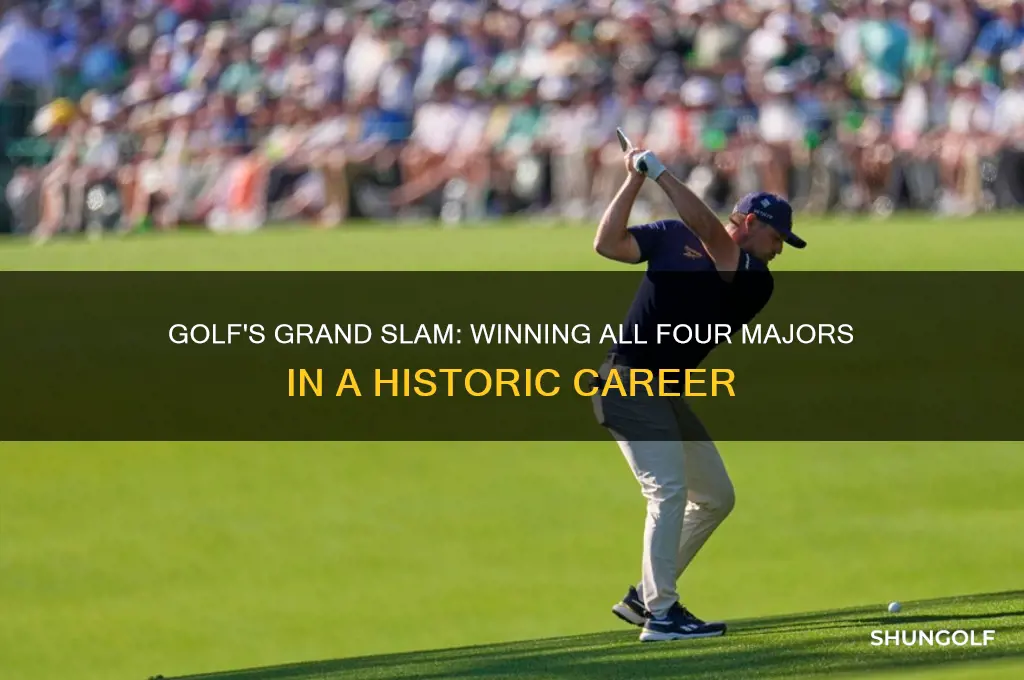 won all 4 majors golf